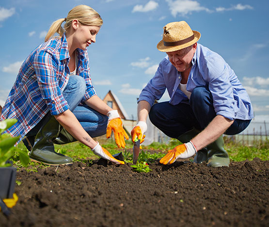 Planting Trees for a Better Future